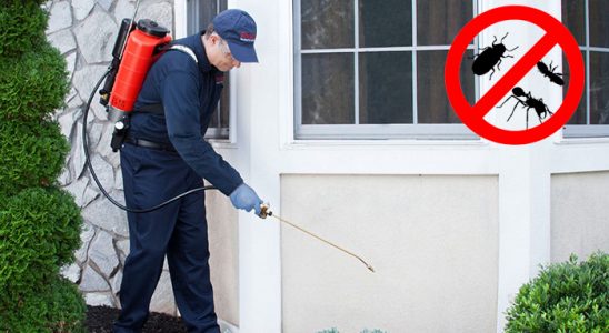 19 Mayıs Tahtakurusu İlaçlama böcek ilaçlama ve haşere kontrolü — ilaclama-tr.com